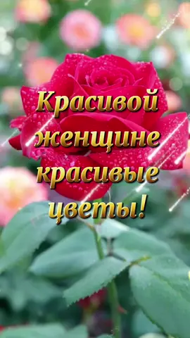🌹🌹🌹🌹🌹 #красивойженщине #открыткадляженщины #самоймилой  #самойлучшей