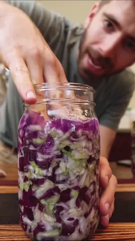 New to fermentation? Start here ☝️