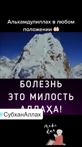 #ислам_религия_мира_добра #напоминание #ислам #истина #религия #рек #добро #иман #благо #islam #создатель #поклоннние #сунна #единобожие #любовь