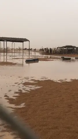 الله يجيب الخير والاجواء الزينه 💔😩#خيال #اكسبلوررر #حايل #خيل #شمر #فيصل #اجواء_الشتاء