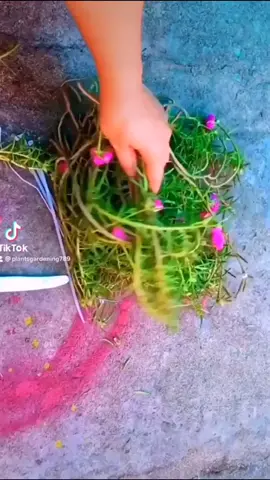 Do you have such plants there?#gardening #plants #plant