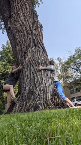 thank you @dcbaugher @meredithgragg & co. 🥺 #scavengerhunt #colorado #dungeonsanddragons #gaming #dnd #catsoftiktok