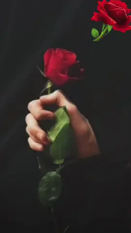 الرد على @basharkh04