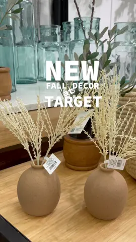 I’m sure there’s more coming 🍂 #target #targetstore #targetrun #targethaul2021 #studiomcgeetarget #hearthandhand