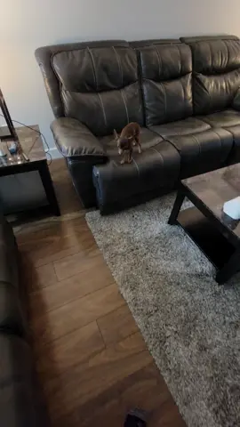 #foryou #fyp #poorsweetthing