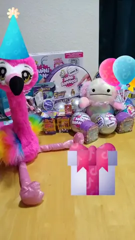 Wednesday Birthday Stream!!!