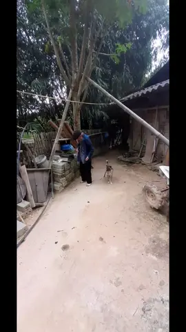 đi đón ông năm nay đã hơn 90 rồi ông gia nhất làng