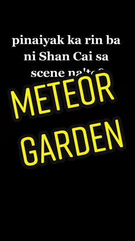 ito yung scene na labis ng nangungulila si Shan Cai kay Dao Ming Si #meteorgarden #batang90 #ShanCai #BarbieHsu #DaoMingSi #JerryYan #cttoofvideo #fy