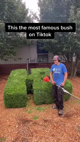 ❤️👍📈💰 #lawncare #satisfy #goodall