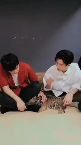 กฎของการเป็นเสือ ถ้าลูกรักเหยื่อลูกจะกลายเป็นหมา 😆 #ออฟจุมพล #ป่าปี๊ไม่ได้หล่อขนาดนั้น #เตตะวัน #tawan_v #fypシ
