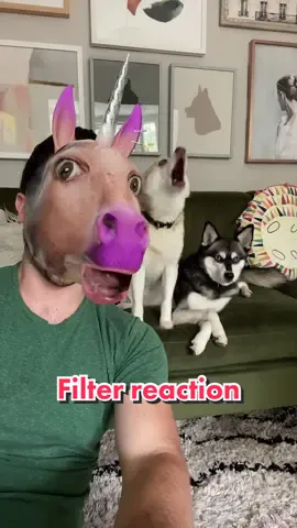 What other filters should we try? 😂