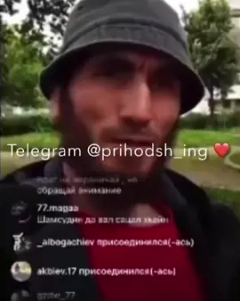 спящий лев 🦁#лев #Ингуш #вайнахи #нохчи #ингушетия #лев