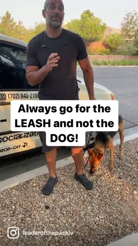 Always go for the leash! #closecall #runawaydog #packwalks #dogs #dogtok #reflexes #quickhands #lasvegas #goodvibes #protip #nottoday #denied