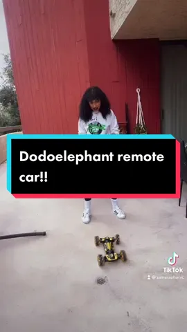 #ad Cats are terrified but I am a big fan. Thank you @dodoelephant !! Link in my bio if you want one too!#dodoeleph #dodoelephant
