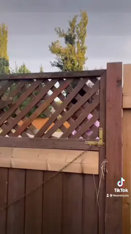 😂 That laugh #fyp #foryou #jokes #whothat #funnyy #1moretry #newbrand #dadjoke #laugh