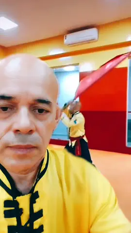 TSKF Kung Fu - agora vc sabe. #tskf #kungfu #wushu #louvaadeus #prayingmantis  #artesmarciais #shaolin #saude #agoravocesabe #bandeira #flopei