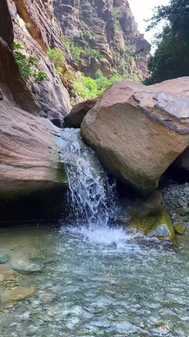 #ام_المؤمنين_عائشة_رضي_الله_عنها #عائشة_ام_المؤمنين #رضي_الله_عنها