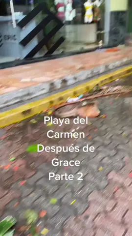#playadelcarmen #playadelcarmenmexico #rivieramaya #viajes #viaje #travel #fypシ #huracangrace #caribe #playa #tiktoktravels #parati #viral