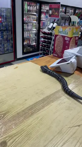 SNAKE PRANK PART 2!!