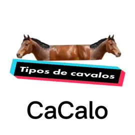 O último🤣 #memesbr #humor #meme #memes #jogo #gamer #game #4u #foryou #fy #jogos #goviral #viral #trend #cavalo #cavalomeme #tiposdecavalos #amogus