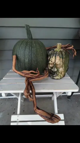 the cancel culture didn’t like one of our costumes for a pumpkin 🤔🤣 and the last video was taken down. Some of the ways we use them to decorate…