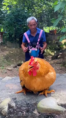 interesting  #fpy #foryou #drama  #dramatiktok #dramaticmoments #tiktok #hot #fun #funnymoments