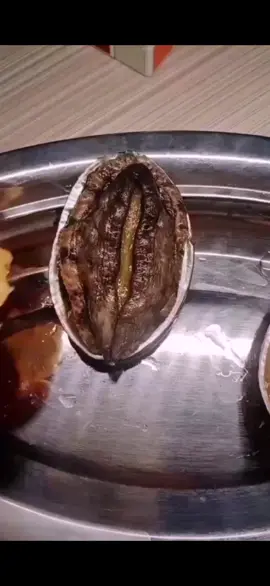 Do you know this ？😲#abalone