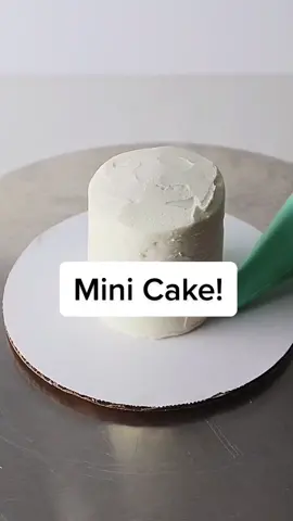 If you’re not dancing to this I need to know why 👇🏻 💃🏼 I’m obsessed #Rumors #minicake #minicakes