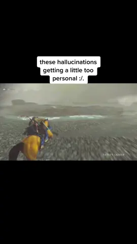 Sora was the name of the first horse i had #Ghostoftsushima #horsey