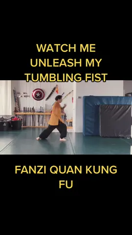 One of my favourite styles #wushu #shaolin #martialarts #fanzi #jetli #kungfu #gongfu
