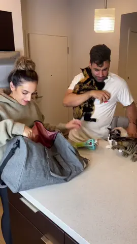 Ungrateful... #fyp #foryou #foryoupage #PetsOfTikTok #viral