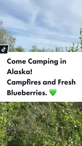 Come camping with us in #alaska ! #family #camping #boats #babies #campfire #tentcamping #ChewyChattyPets #momlife #adventure #MomsofTikTok #lakelife