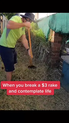 The emotions of Lawn Care #lawntok #grasstok #lawntips #lawncare #lawnmowing