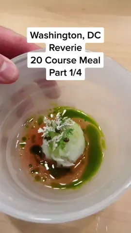 #Reverie 20 Course Meal Part 1/4 #washingtondc #foodtiktok #fyp #dcfoodie #dmv #dc #docueatery #highspeeddining @docueatery #johnnyspero #foryou