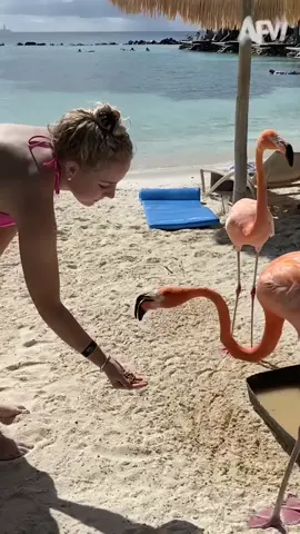 Hilarious beach fails 🤣