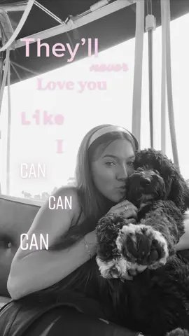 happy national dog day <3 #racecardriver #cartok #racing #girlracer #girlswhorace #ChewyChattyPets #MicroRaveWithRoni #MyTeacherWins #dogday