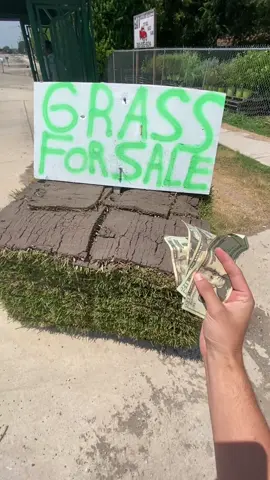 I spent $20 to touch grass 🤝