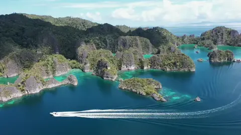 Papua is Wonderland ❤️❤️🥰 #rajaampat #papua #papuabarat #fypシ #viral #StayColorfitAtHome