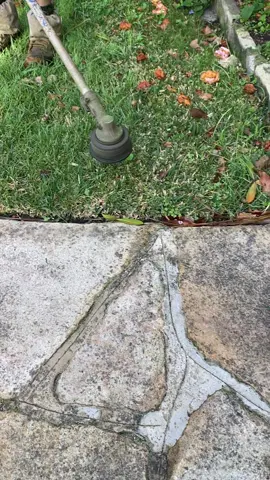 How goods it being badk! Wait for it 👀 #fyp #lawn #satisfying #garden #hedge #gardens #sydney #lawnszn #grasstok #ILoveMowing #lawntiktok