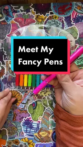 Meet my fancy pens… I use them in my planner everyday. #pentok #tulpens #penaddiction #penlover