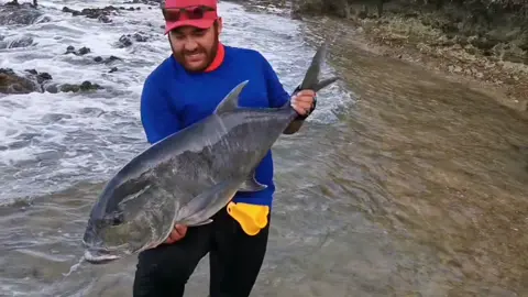 TOPWATER FISHING GT #FISHING #FISHINGLIFE #SPORTFISHING #SALTWATERFISHING #FISHINGNZ #LURES #TUNA #GT #JEDDAH #JACKSON #REDSEA #FYP #FORYOU #TREVALL
