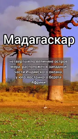 Мадагаскар #страны #мир #мадагаскар #интеллектуальныйтикток #знания