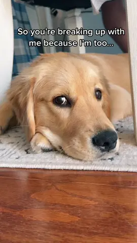 Since you guys loved seeing how am independent…here’s another side.😂 #fyp #foryoupage #dogsofttiktok #puppy #puppylove