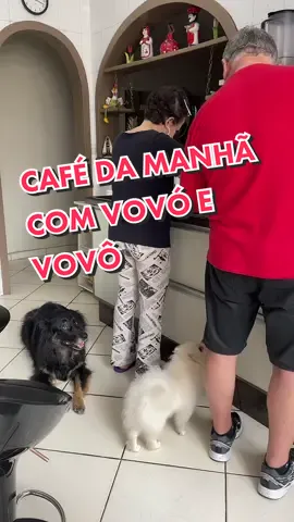 Bom dia pesso-AU🐾 #cafédamanha #cachorrosdotiktok #domingo #fy #cachorrosfofos #foryou #pravoce #goodmorningvideo #pets #manhã