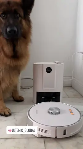 #ultenict10 #ultenic #pethair #germanshepherd #pet #vaccum #cleaning #fyp #viral @ultenic_global