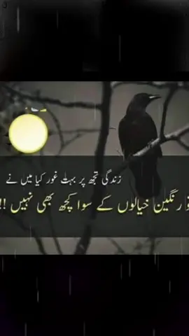 #pageforyou_❤️love_like #pageforyou_viral_video_tiktok #plz_share_follow #pageforyou_🇵🇰🇺🇸
