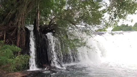 ជីផាត កោះកុង