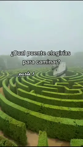 #fyp #foryoupage #parati ¿cuál puente eliges para caminar?