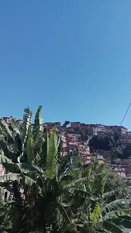 morro do turano