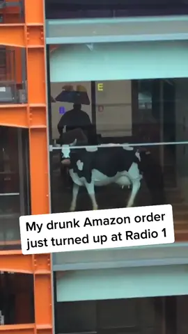 Mooving mad #cowsoftiktok